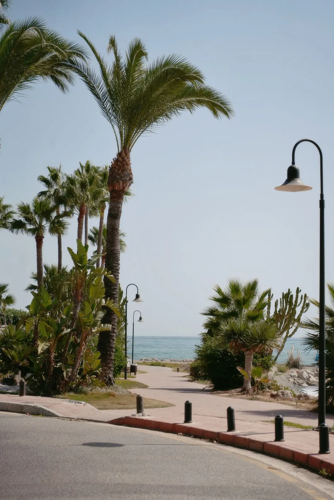 Daily Life in Marbella, photo 3