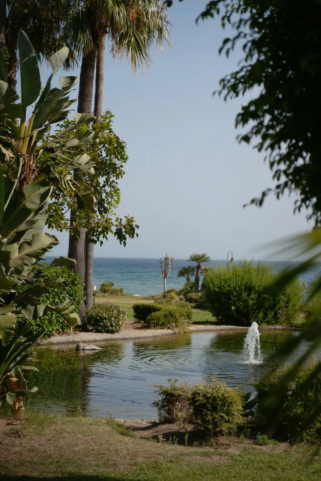 Daily Life in Marbella, photo 8