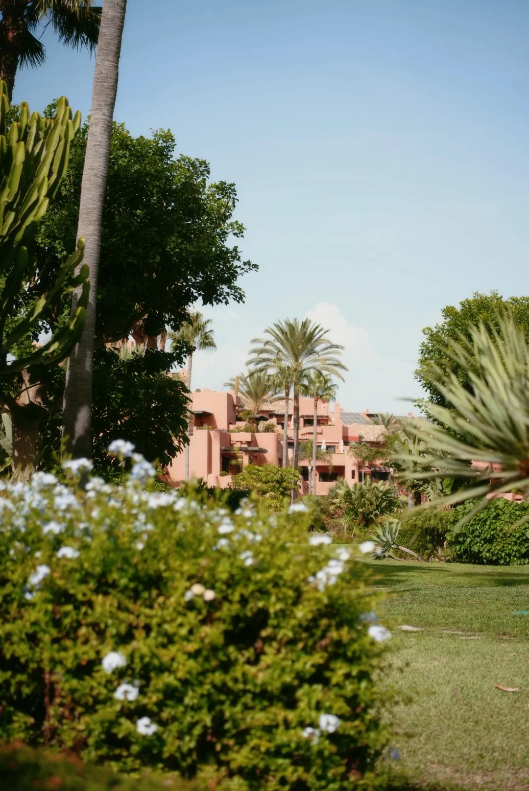 Daily Life in Marbella, photo 10