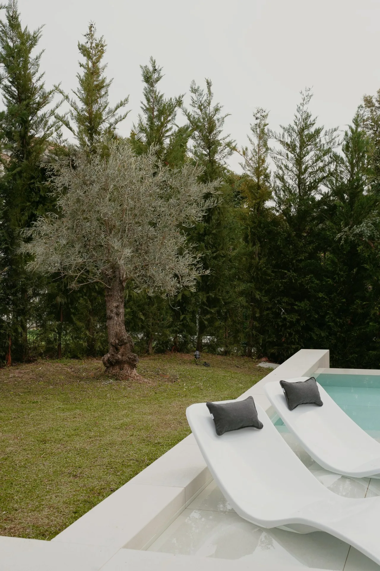 Eco-Friendly Villa, photo 24