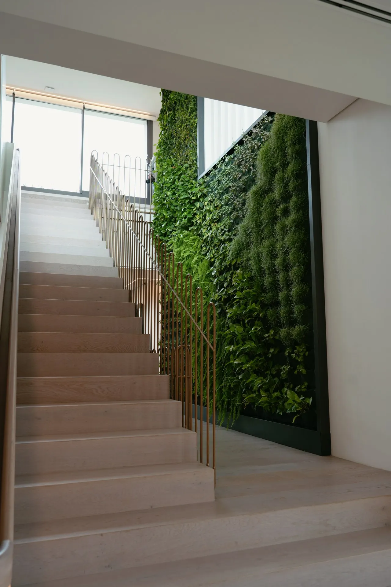 Eco-Friendly Villa, photo 25