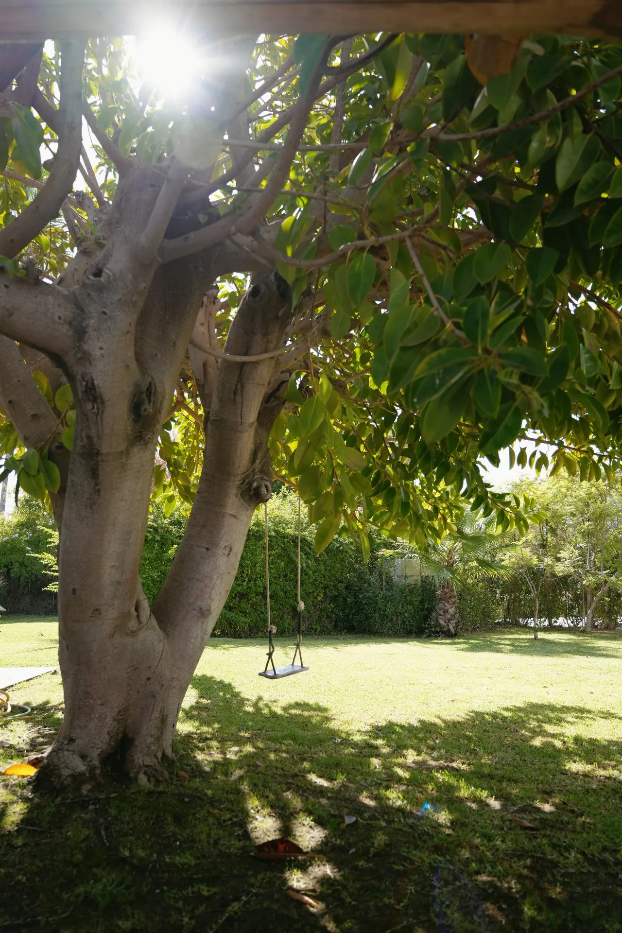 Guadalmina, photo 12