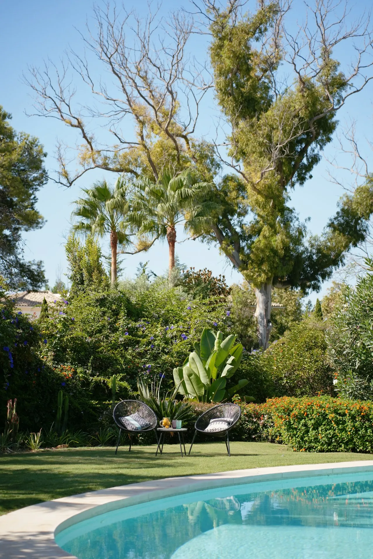Guadalmina, photo 22