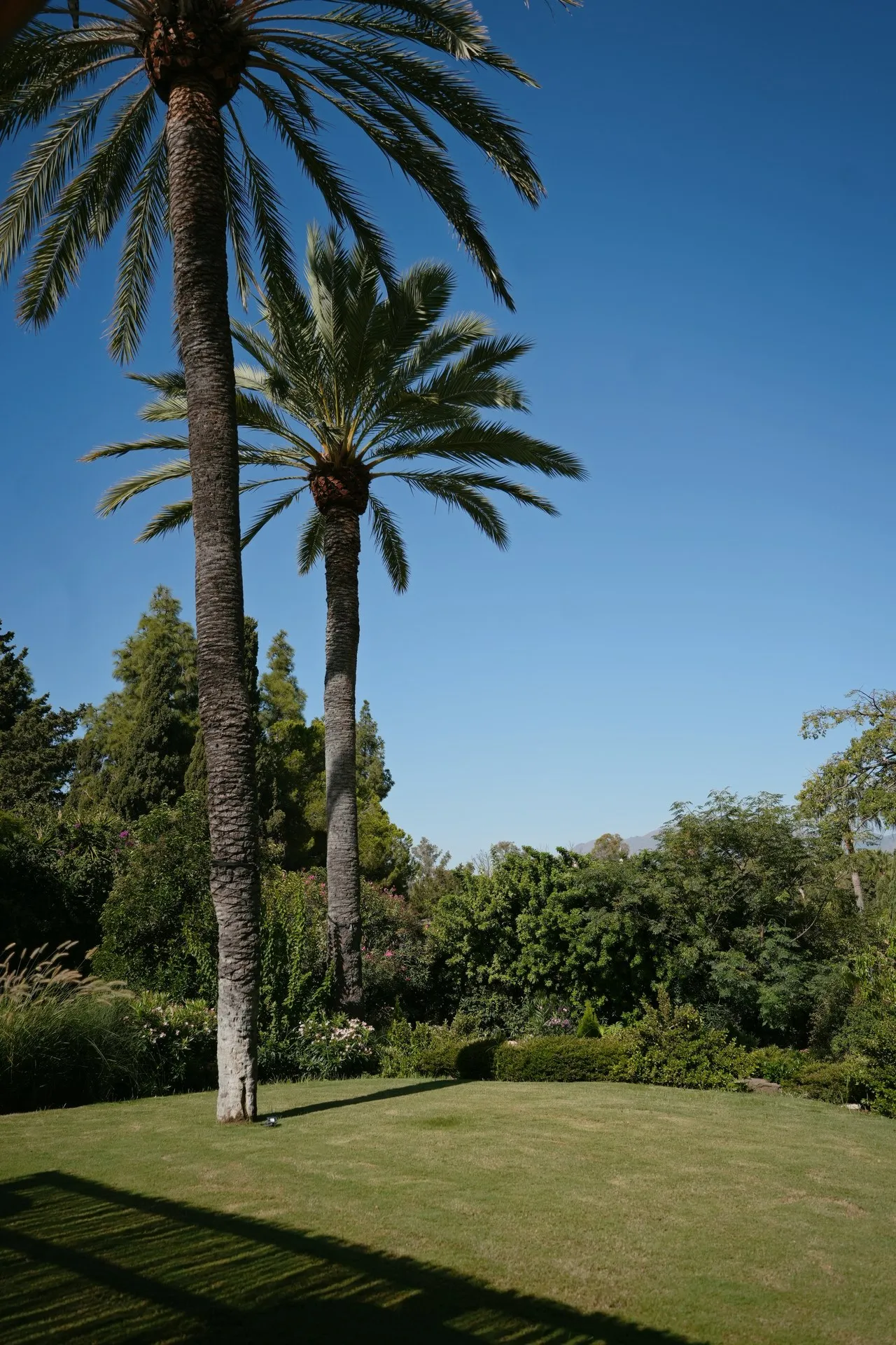 Guadalmina, photo 25