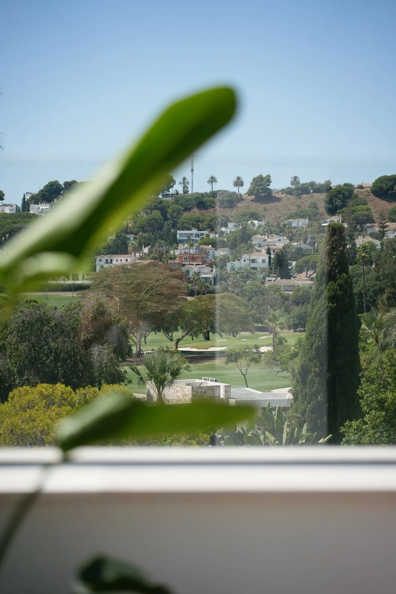 Monte Carlo Villa, photo 12