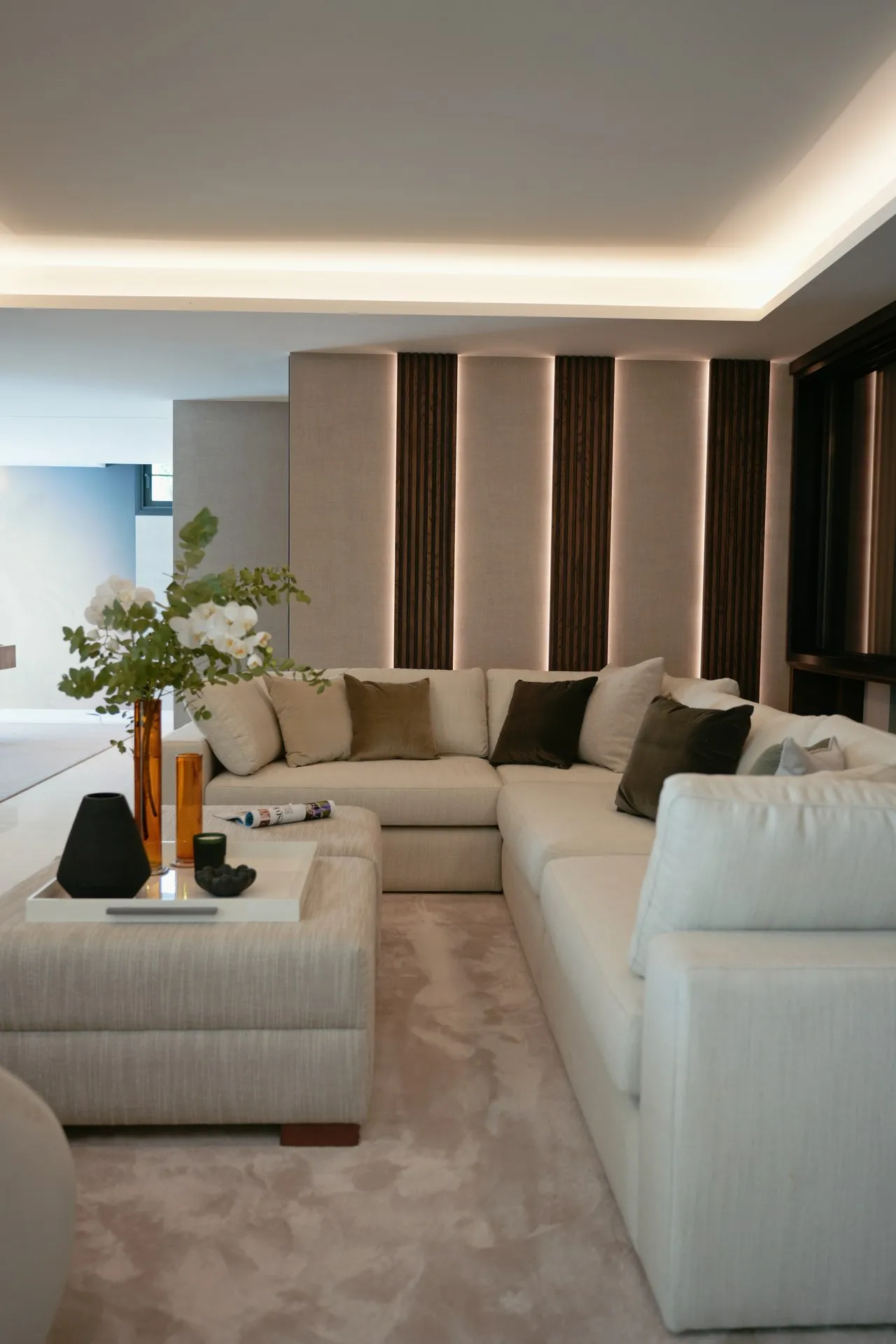 Monte Carlo Villa, photo 38