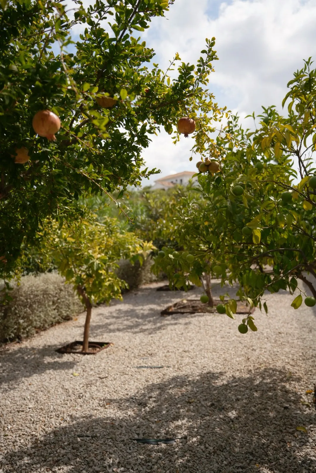 Pomegranate Villa, photo 20