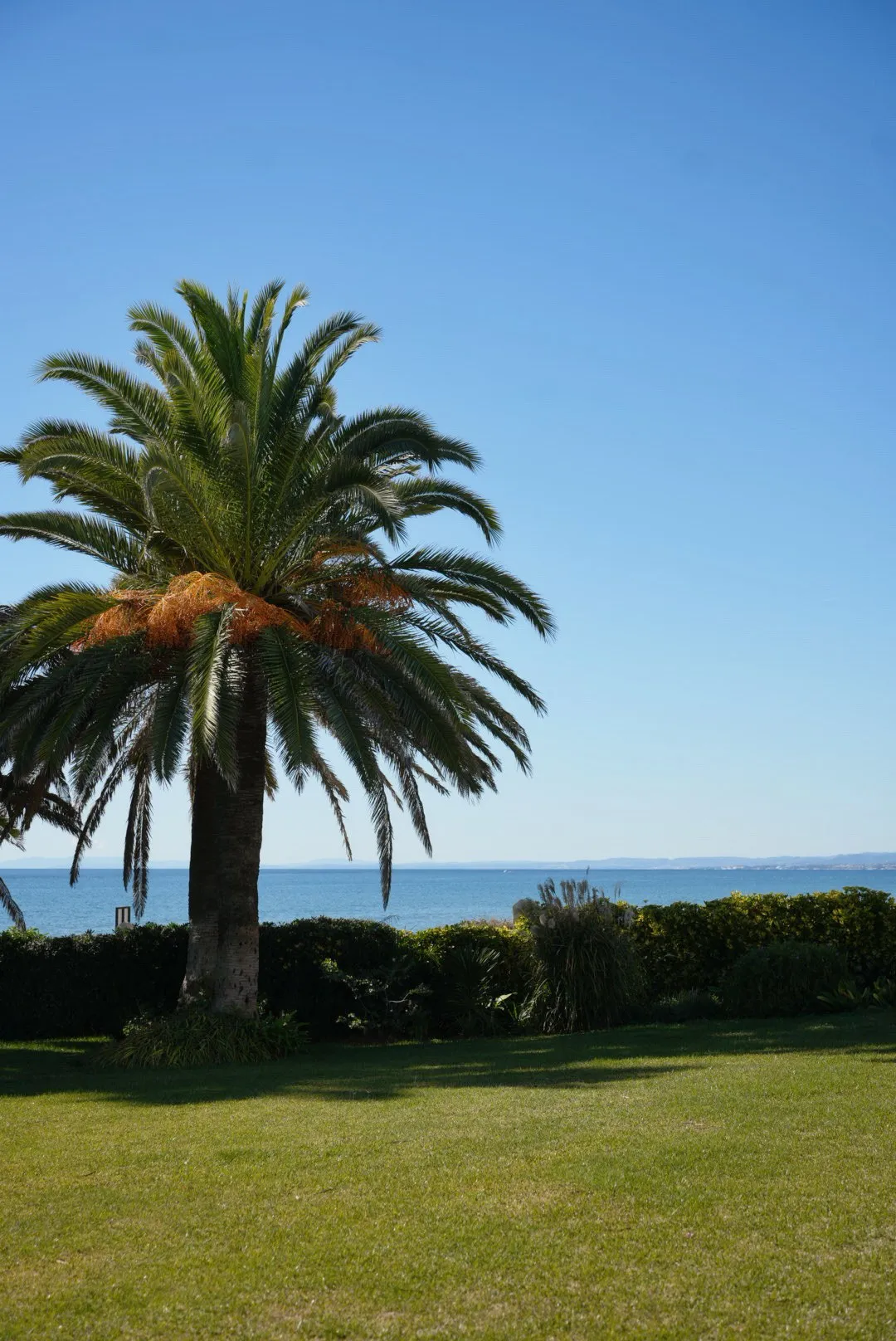 Seaside Villa, photo 29