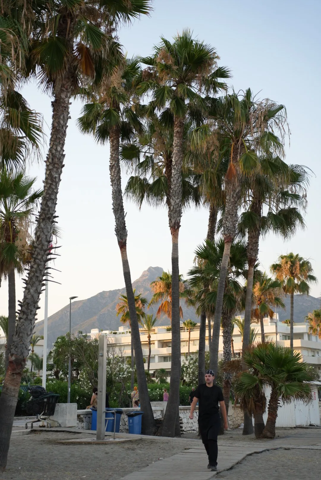 Summer in Marbella, photo 2