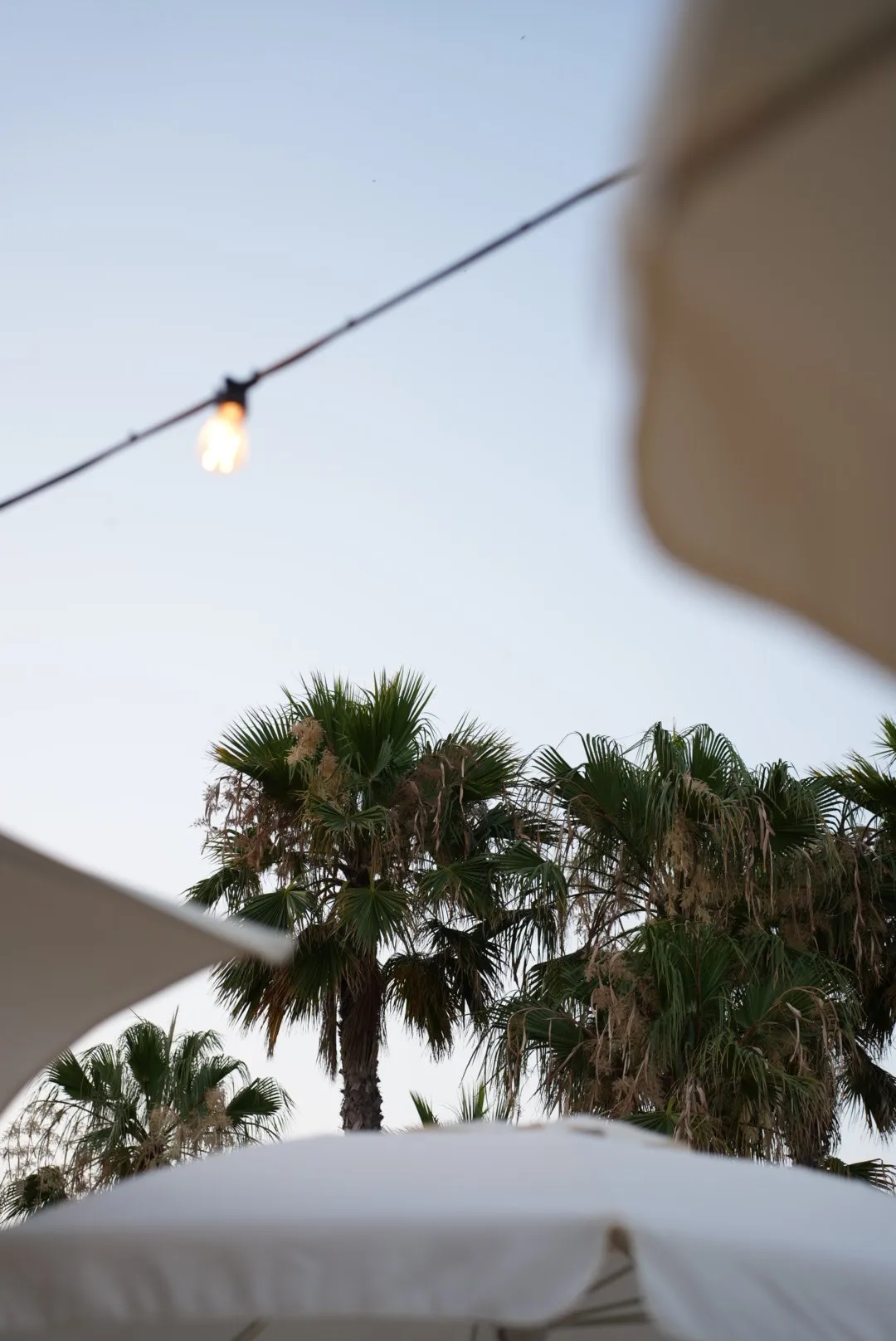 Summer in Marbella, photo 8