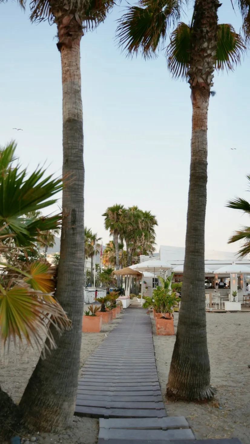 Summer in Marbella, photo 9