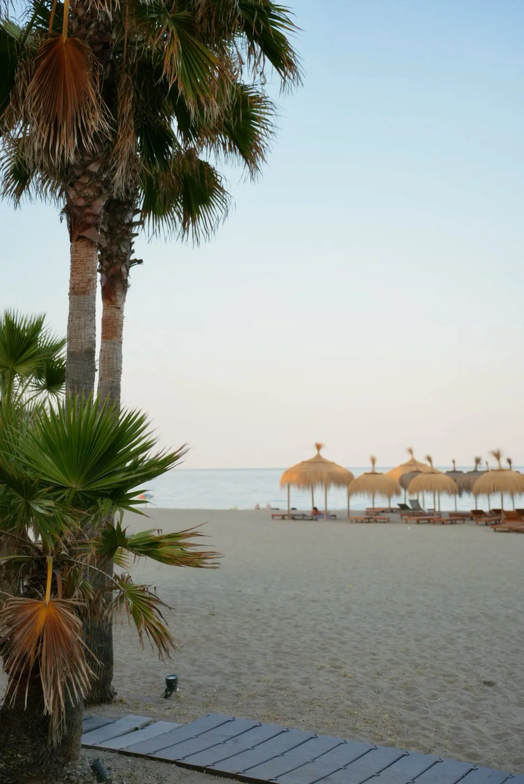 Summer in Marbella, photo 13