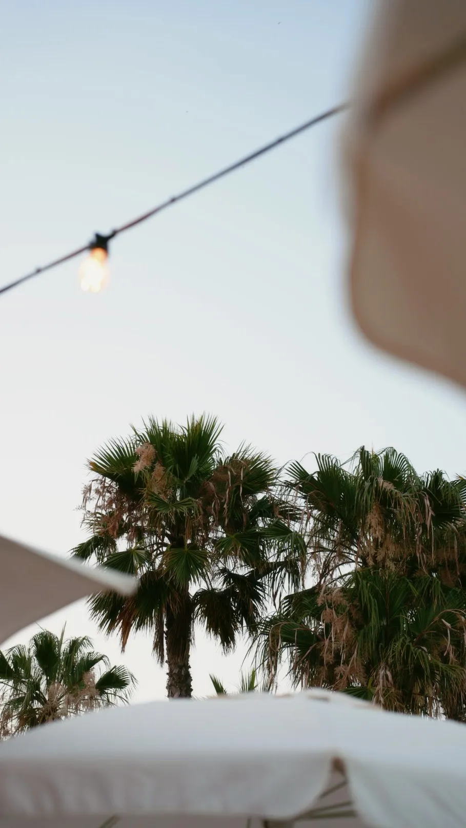Summer in Marbella, photo 16