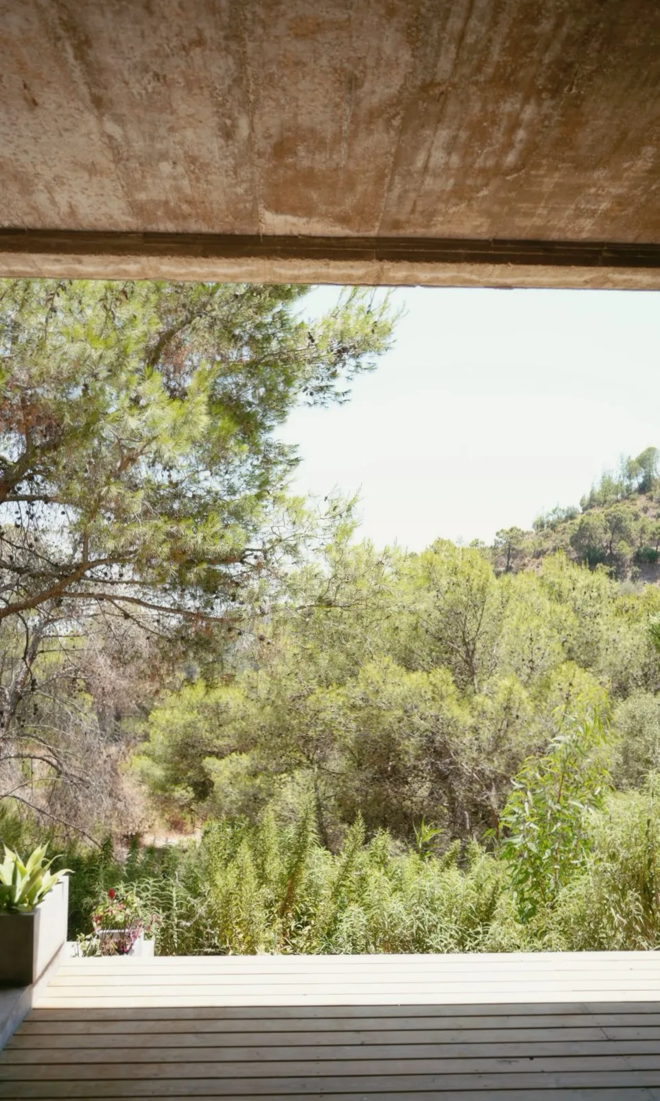 Villa Nature, photo 6