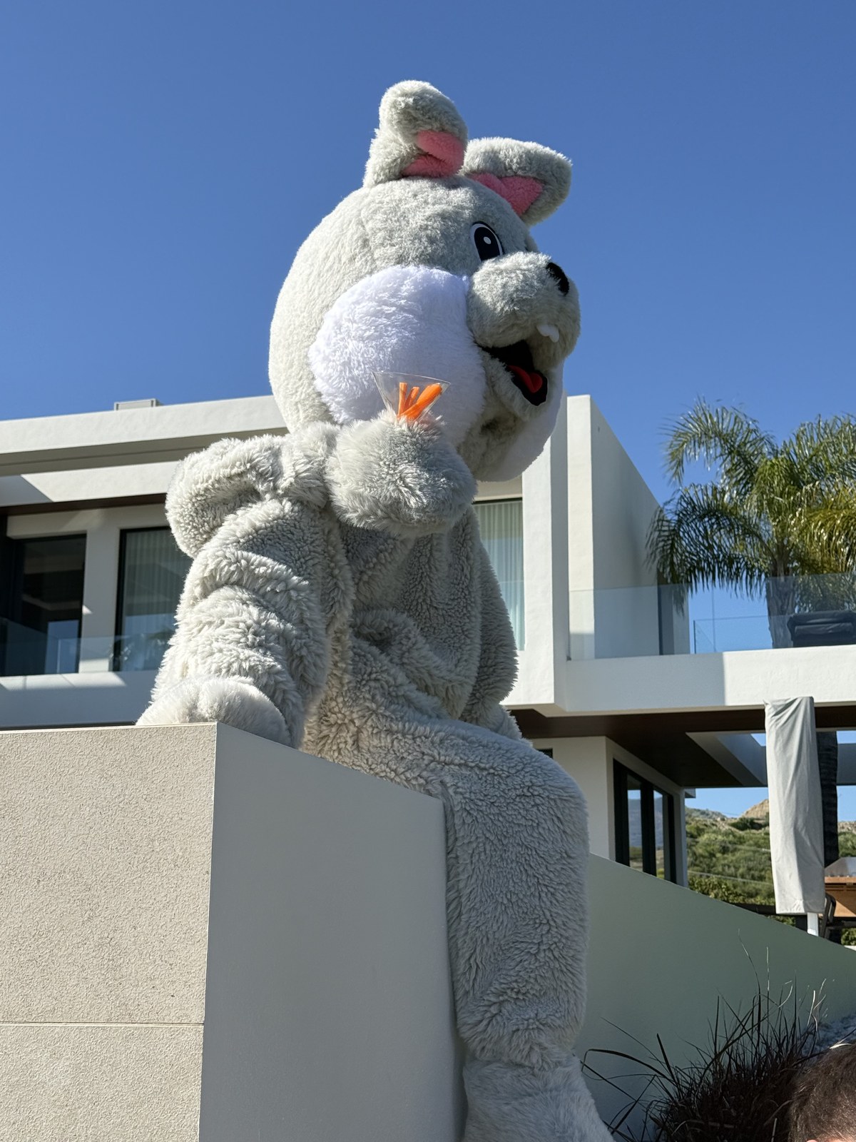 A giant Easter rabbit mascot sipping carrots from a martini glass outside a luxury Marbella villa